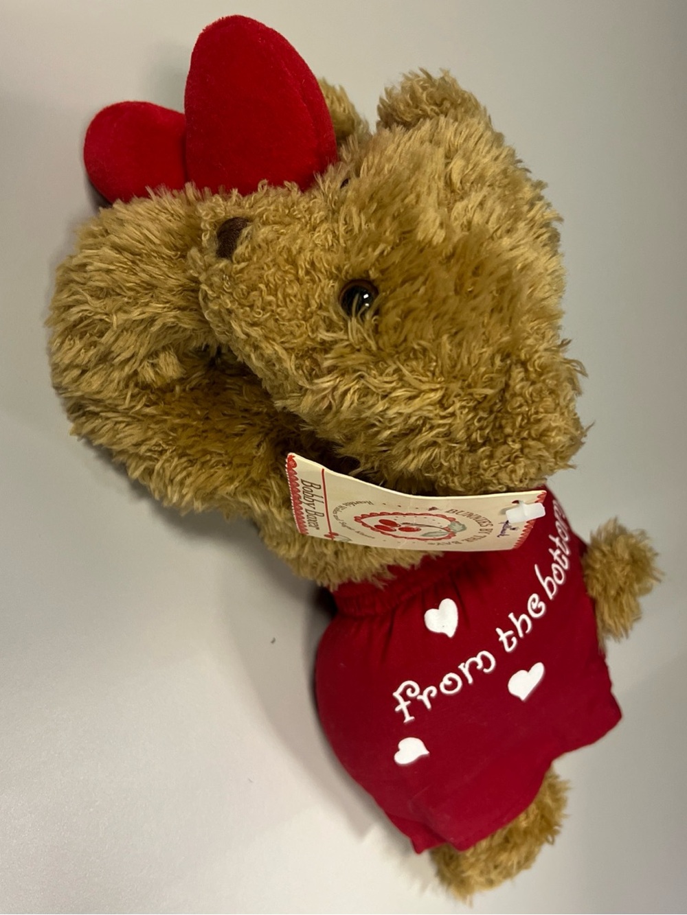 Plush Brown Bear Holding Red Hearts - 'From the Bottom' Shirt